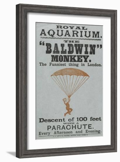 The Baldwin" Monkey"-null-Framed Giclee Print