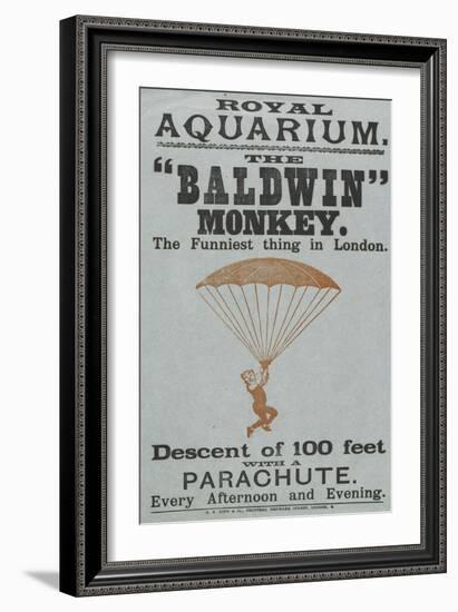 The Baldwin" Monkey"-null-Framed Giclee Print