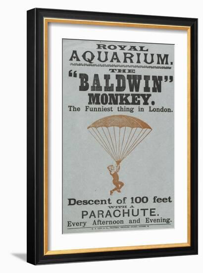 The Baldwin" Monkey"-null-Framed Giclee Print