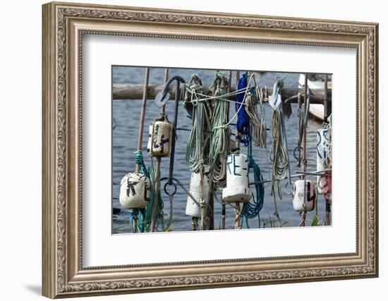 The Baltic Sea, Dar§, Fishing, Buoys-Catharina Lux-Framed Photographic Print