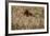 The Baltic Sea, Dar§, Wheat Ears-Catharina Lux-Framed Photographic Print