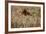 The Baltic Sea, Dar§, Wheat Ears-Catharina Lux-Framed Photographic Print