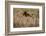 The Baltic Sea, Dar§, Wheat Ears-Catharina Lux-Framed Photographic Print