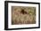 The Baltic Sea, Dar§, Wheat Ears-Catharina Lux-Framed Photographic Print