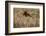 The Baltic Sea, Dar§, Wheat Ears-Catharina Lux-Framed Photographic Print