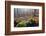 The Baltic Sea, National Park Jasmund, Autumn Forest-Catharina Lux-Framed Photographic Print