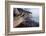 The Baltic Sea, National Park Jasmund, Beach, Trunk, Steep Coast, Scarp-Catharina Lux-Framed Photographic Print