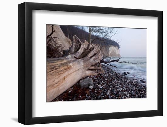 The Baltic Sea, National Park Jasmund, Beach, Trunk, Steep Coast, Scarp-Catharina Lux-Framed Photographic Print