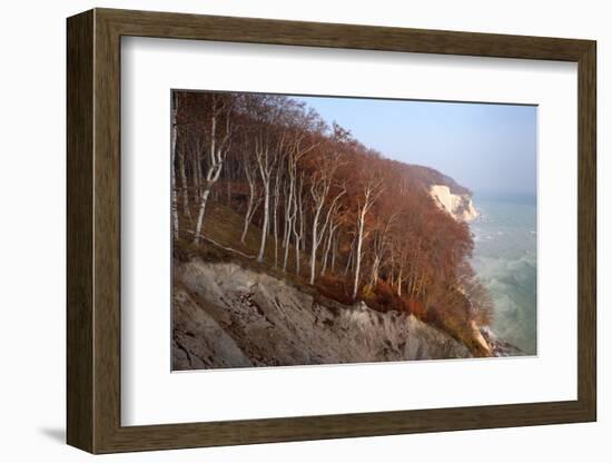 The Baltic Sea, National Park Jasmund, Chalk Rocks, Wissower Klinken-Catharina Lux-Framed Photographic Print