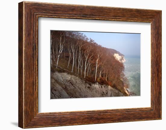 The Baltic Sea, National Park Jasmund, Chalk Rocks, Wissower Klinken-Catharina Lux-Framed Photographic Print