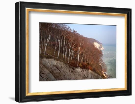 The Baltic Sea, National Park Jasmund, Chalk Rocks, Wissower Klinken-Catharina Lux-Framed Photographic Print