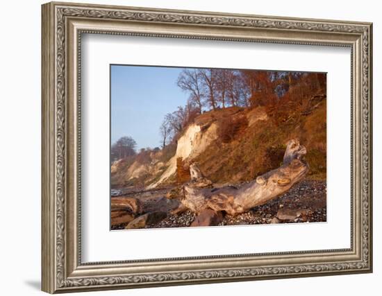 The Baltic Sea, National Park Jasmund, Chalk Rocks-Catharina Lux-Framed Photographic Print