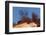 The Baltic Sea, National Park Jasmund, Chalk Rocks-Catharina Lux-Framed Photographic Print