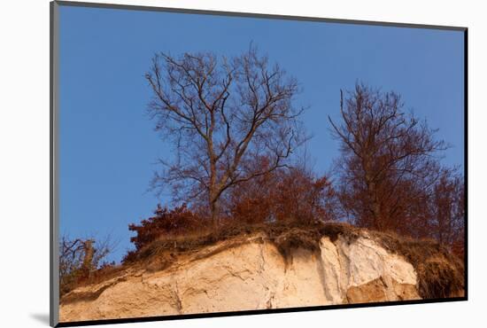 The Baltic Sea, National Park Jasmund, Chalk Rocks-Catharina Lux-Mounted Photographic Print