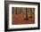 The Baltic Sea, National Park Jasmund, Steep Coast, Beech Forest-Catharina Lux-Framed Photographic Print