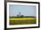 The Baltic Sea, RŸgen, Cape Arkona, Lighthouses, Rape Field, Summer-Catharina Lux-Framed Photographic Print