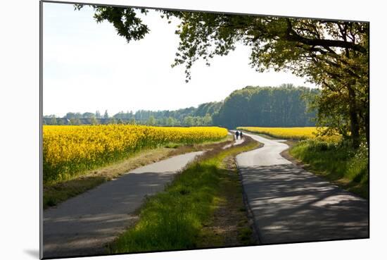 The Baltic Sea, RŸgen, Path Through Rape Field, Summer-Catharina Lux-Mounted Photographic Print