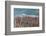 The Baltic Sea, RŸgen, Steep Coast, North Beach, Rowanberries-Catharina Lux-Framed Photographic Print