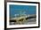 The Baltic Sea, RŸgen, Yarrow in Front of Blue Sea-Catharina Lux-Framed Photographic Print