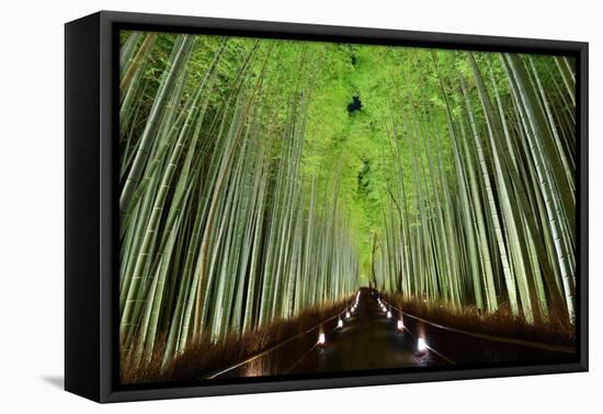 The Bamboo Forest of Kyoto, Japan.-SeanPavonePhoto-Framed Premier Image Canvas