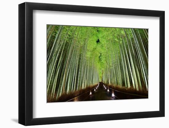 The Bamboo Forest of Kyoto, Japan.-SeanPavonePhoto-Framed Photographic Print