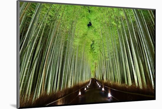 The Bamboo Forest of Kyoto, Japan.-SeanPavonePhoto-Mounted Photographic Print