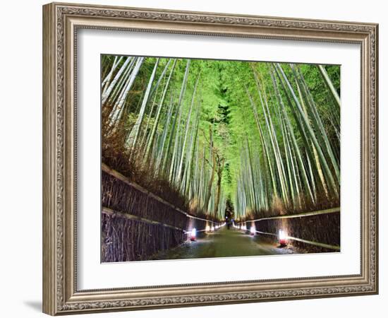 The Bamboo Forest of Kyoto, Japan-Sean Pavone-Framed Photographic Print