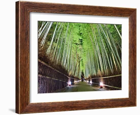 The Bamboo Forest of Kyoto, Japan-Sean Pavone-Framed Photographic Print