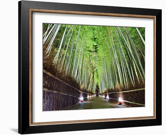 The Bamboo Forest of Kyoto, Japan-Sean Pavone-Framed Photographic Print