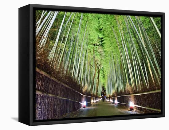 The Bamboo Forest of Kyoto, Japan-Sean Pavone-Framed Premier Image Canvas