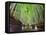 The Bamboo Forest of Kyoto, Japan-Sean Pavone-Framed Premier Image Canvas