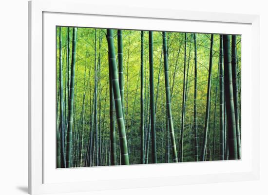 The Bamboo Grove-Robert Churchill-Framed Art Print