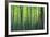 The Bamboo Grove-Robert Churchill-Framed Art Print