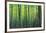 The Bamboo Grove-Robert Churchill-Framed Art Print