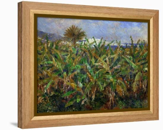 The Banana Plantation, 1881-Pierre-Auguste Renoir-Framed Premier Image Canvas