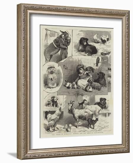 The Band of Kindness Donkey and Pet Show at Manchester-null-Framed Giclee Print