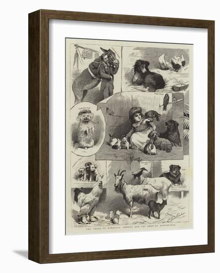 The Band of Kindness Donkey and Pet Show at Manchester-null-Framed Giclee Print