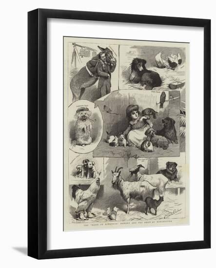 The Band of Kindness Donkey and Pet Show at Manchester-null-Framed Giclee Print