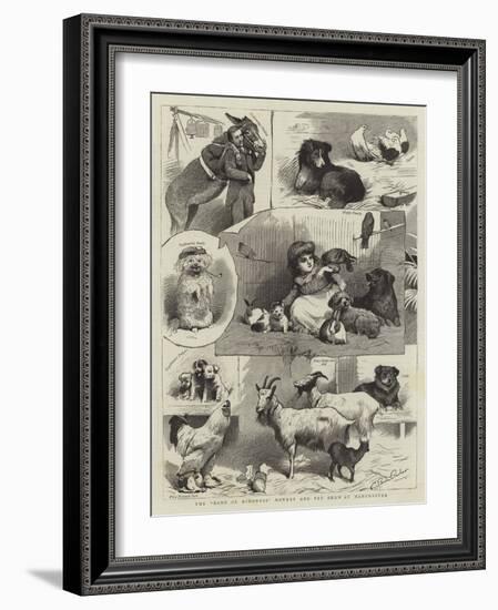 The Band of Kindness Donkey and Pet Show at Manchester-null-Framed Giclee Print