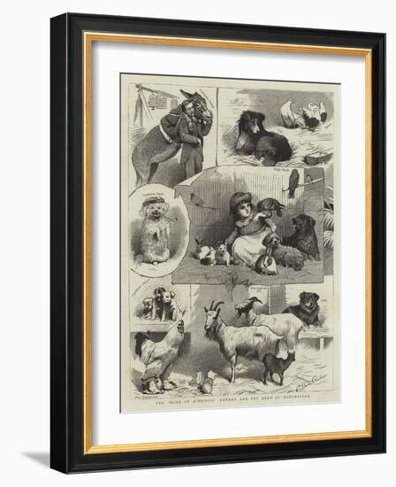 The Band of Kindness Donkey and Pet Show at Manchester-null-Framed Giclee Print