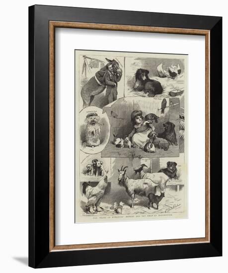 The Band of Kindness Donkey and Pet Show at Manchester-null-Framed Giclee Print