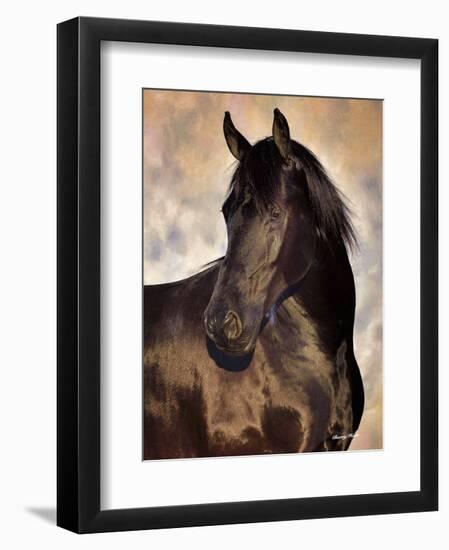 The Bandit-Barry Hart-Framed Art Print