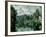 The Banks of the Marne at Creteil, circa 1888-Paul C?zanne-Framed Giclee Print