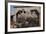 The Baquedano Railway Depot, Chile-Mallorie Ostrowitz-Framed Photographic Print