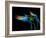 The Bar at the End of the Universe 3-Ursula Abresch-Framed Photographic Print