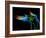 The Bar at the End of the Universe 3-Ursula Abresch-Framed Photographic Print