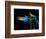 The Bar at the End of the Universe 3-Ursula Abresch-Framed Photographic Print