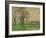 The Bare Trees at Jas De Bouffan, 1885-1886-Paul Cézanne-Framed Giclee Print