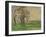 The Bare Trees at Jas De Bouffan, 1885-1886-Paul Cézanne-Framed Giclee Print