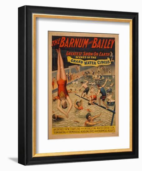 The Barnum and Bailey Greatest Show on Earth. Scenes in the Grand Water Circus, C. 1895-null-Framed Giclee Print